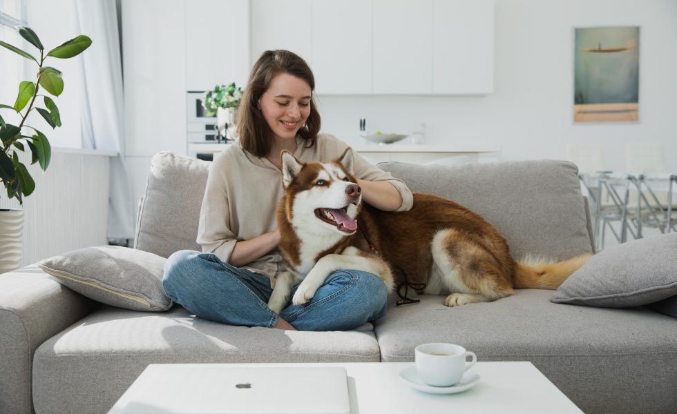 Pet-friendly image of dog and woman on sofa at home