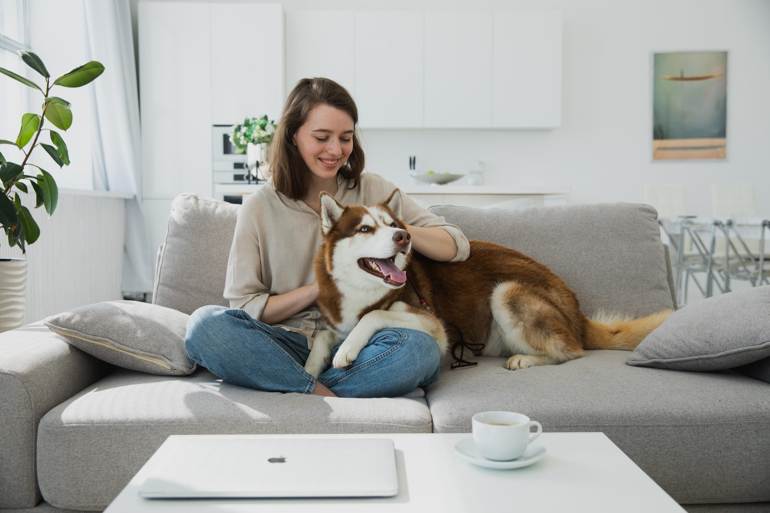 Pet-friendly image of dog and woman on sofa at home